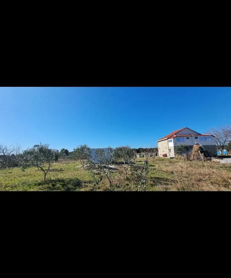 בית הארחה Tale Guesthouse Gjegji