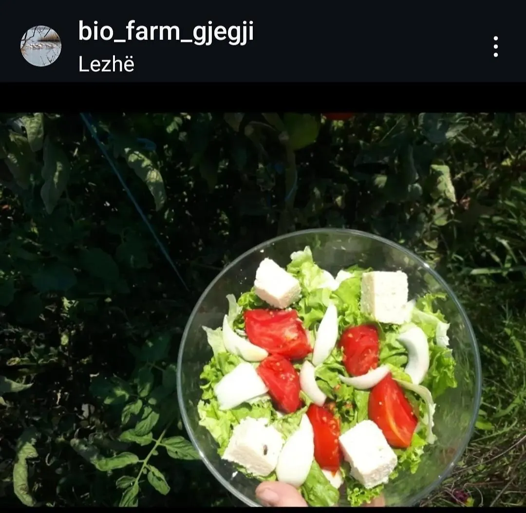 Guesthouse Gjegji Tale