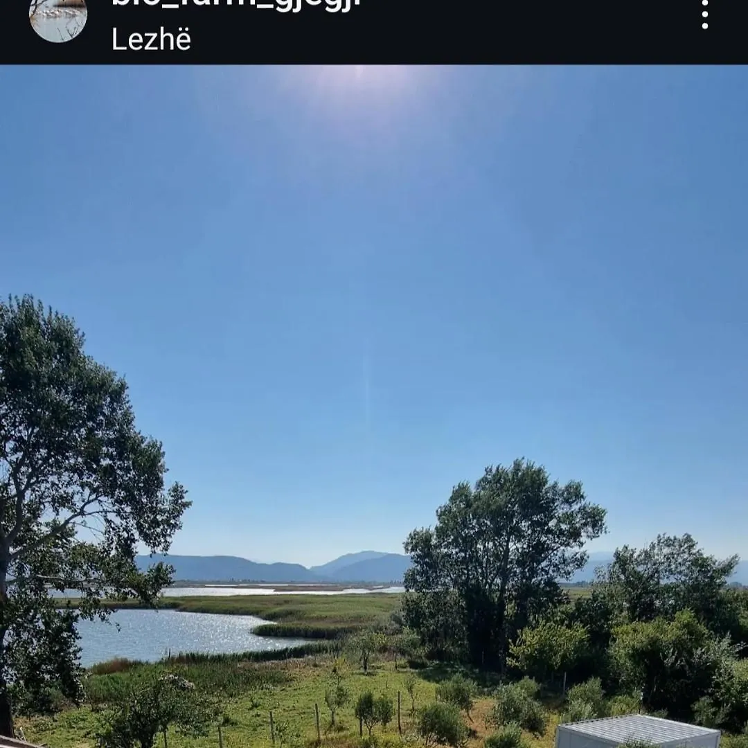 בית הארחה Tale Guesthouse Gjegji