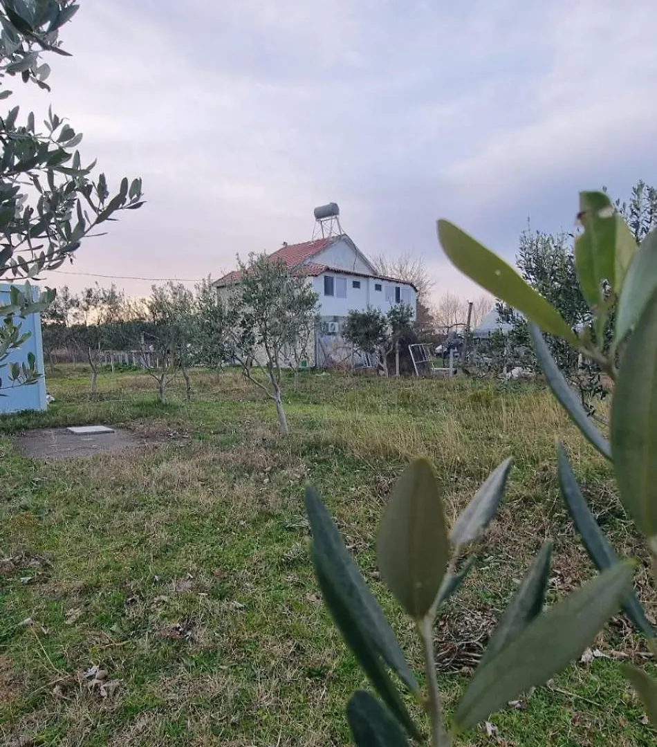בית הארחה Tale Guesthouse Gjegji אלבניה